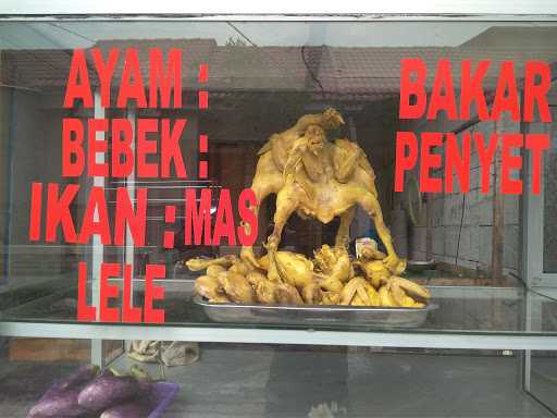 Ayam Gepuk Balqis 7