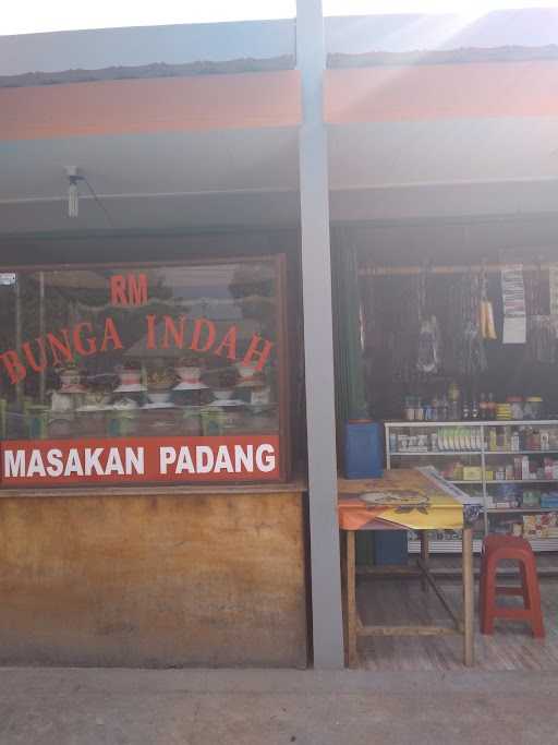 Pisang Batu 9