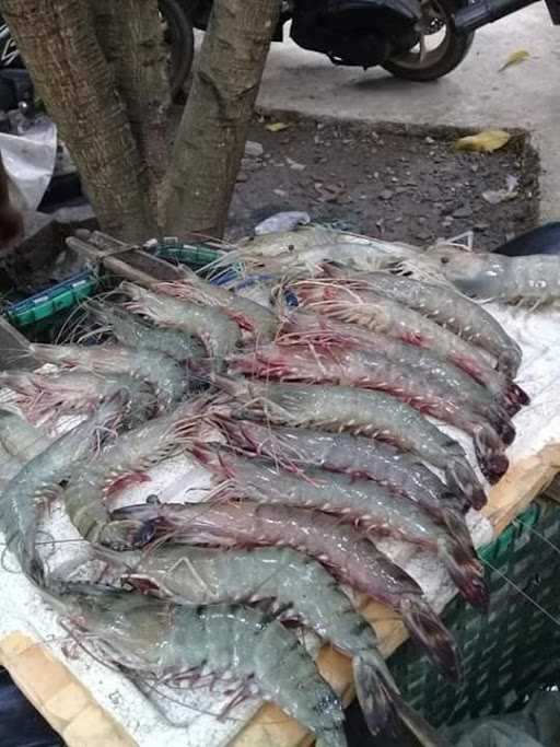 Tukang Ikan Bang Maman 1