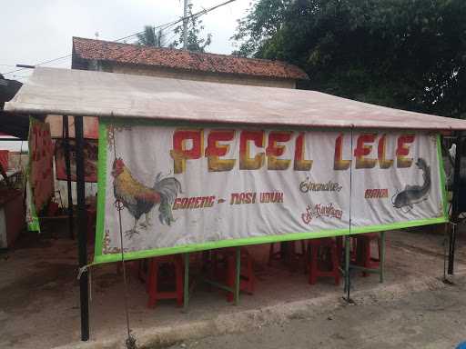 Pecel Lele Mamake 5