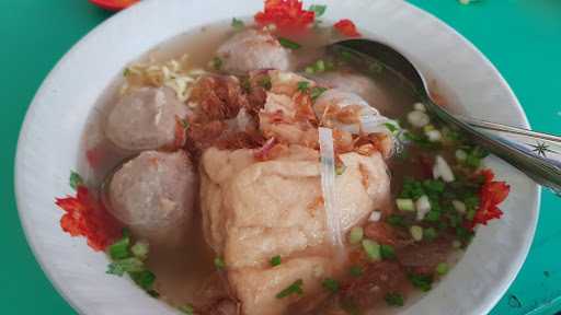 Bakso Malam Pak To - Darmo Baru Barat 8