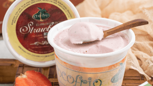 Cocofrio Ice Cream 1