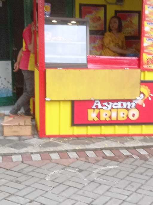 Ayam Kribo 3