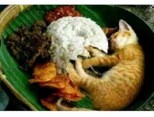 Nasi Kucing Ori 4