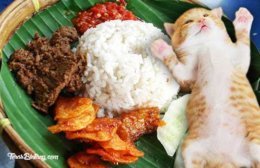 Nasi Kucing Ori 2