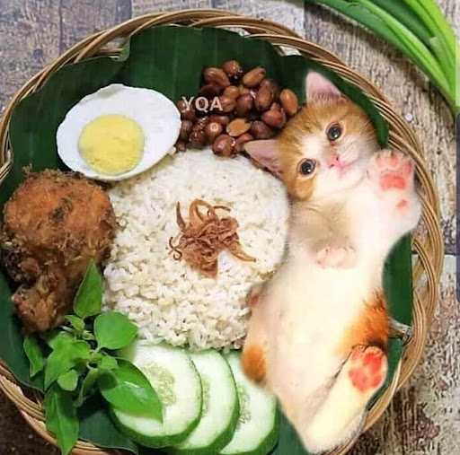 Nasi Kucing Ori 1