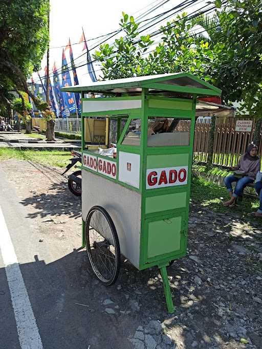 Gado - Gado Cak Kamto 3