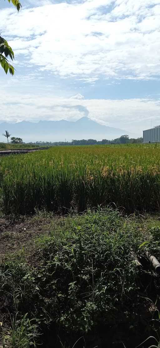 Warung Pojok 7