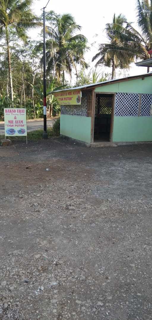 Bakso Urat Dan Mie Ayam Tiga Putra 6