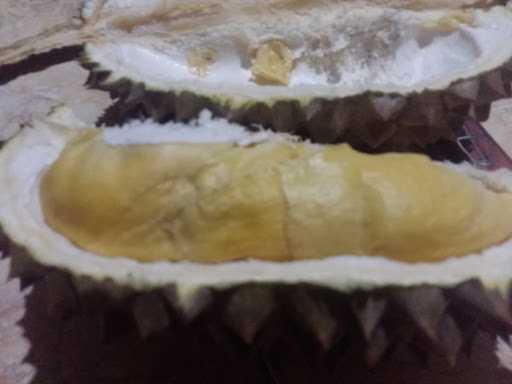 Sudadi Durian Montong 5