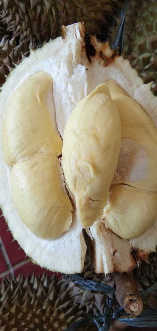 Sudadi Durian Montong 3