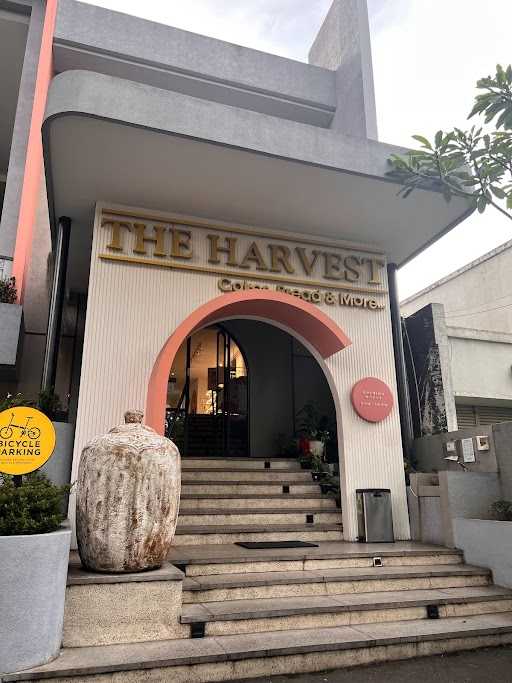 The Harvest - Dago 1