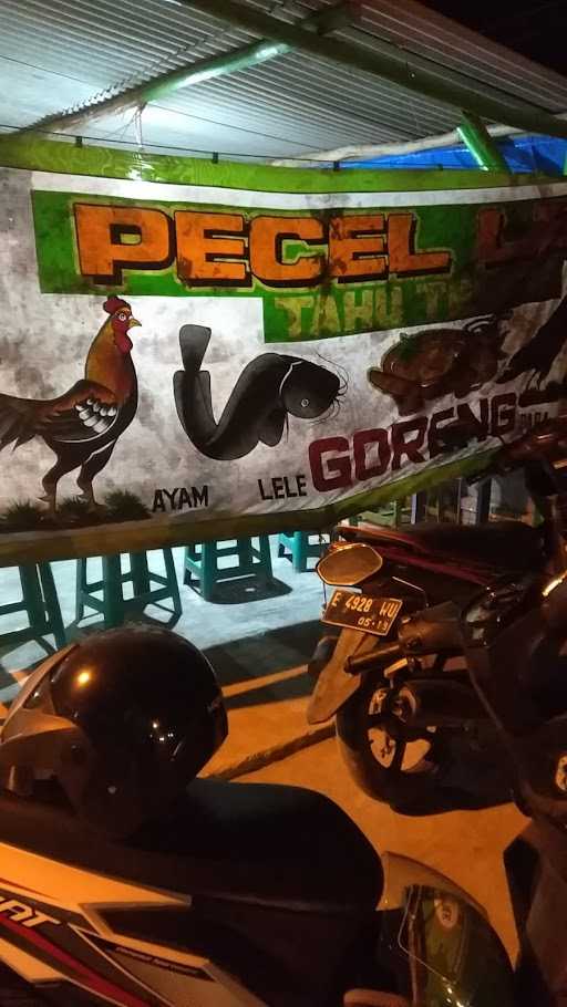 Pecel Lele Lamongan 1