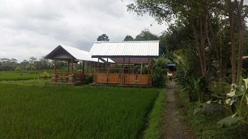 Angkringan Tepi Sawah 9