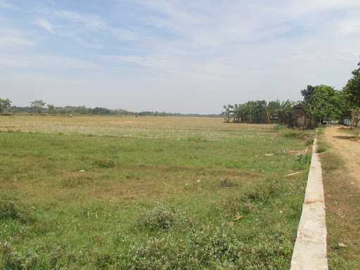 Jual Tanah Tepi Sawah 3