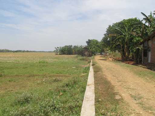 Jual Tanah Tepi Sawah 4