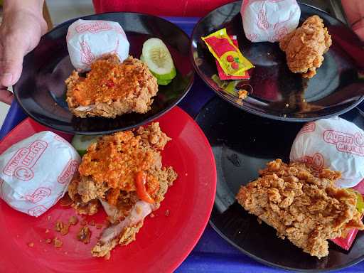 Ayam Mrothol Sepang Safira 1