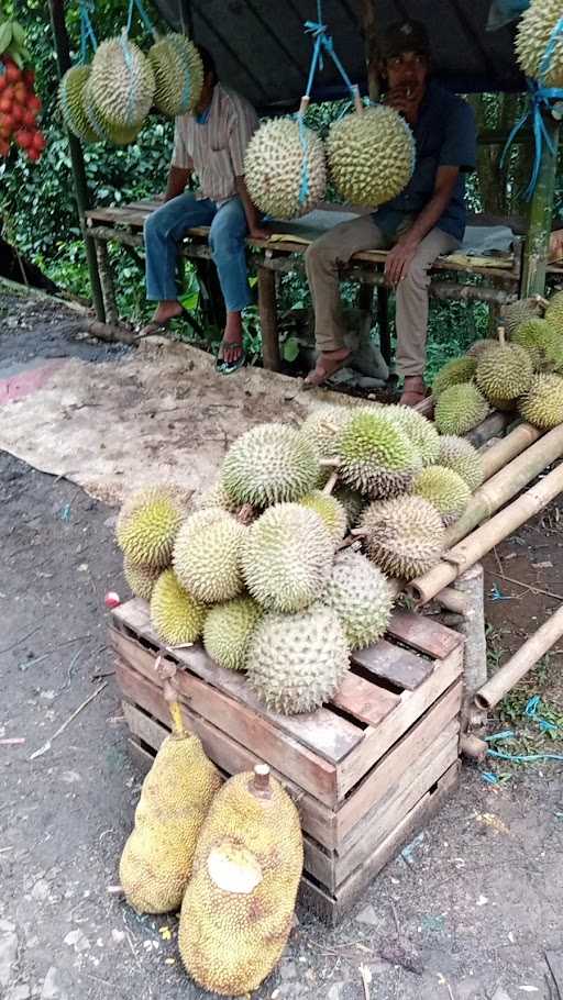 Saung Taktakan 1