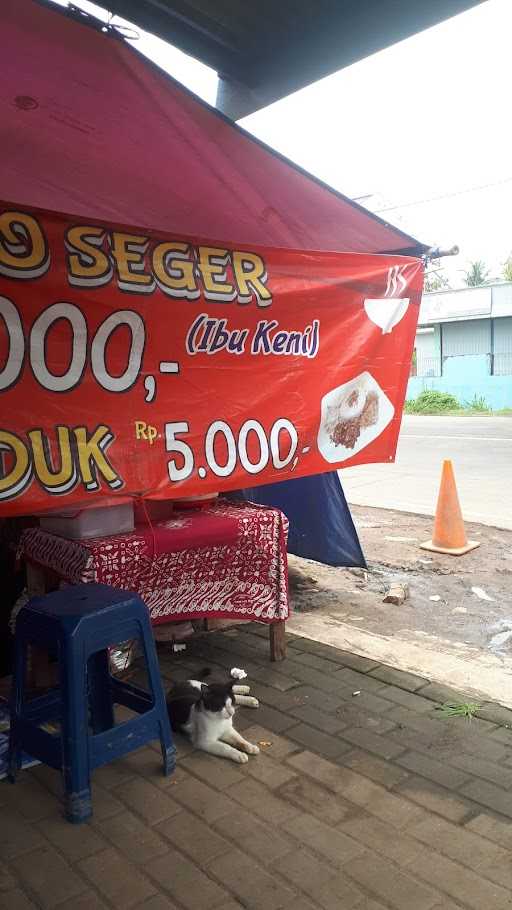 Soto Seger 5000 3