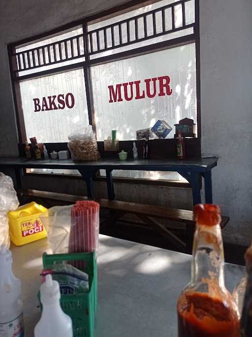 Bakso Mulur 5