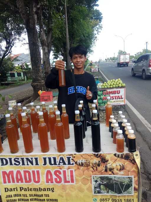 Madu Sumatera 1