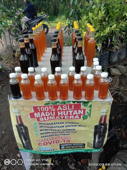 Madu Sumatera 2