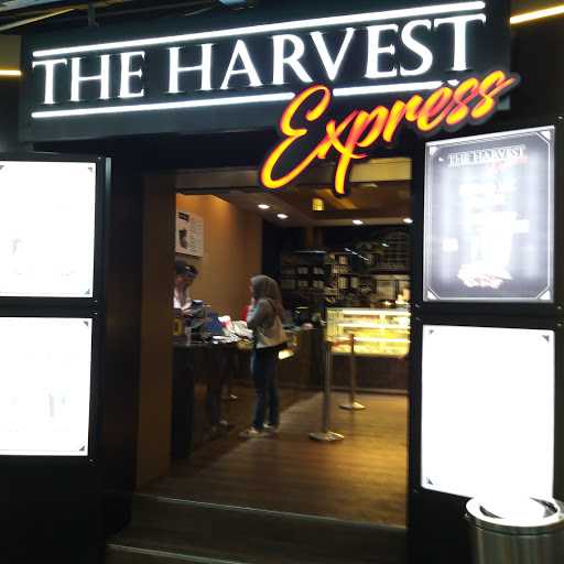 The Harvest Express - Stasiun Kota 7