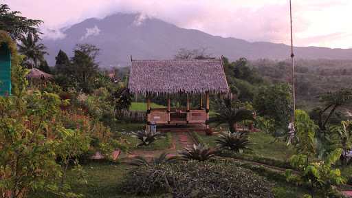 De Saung 10