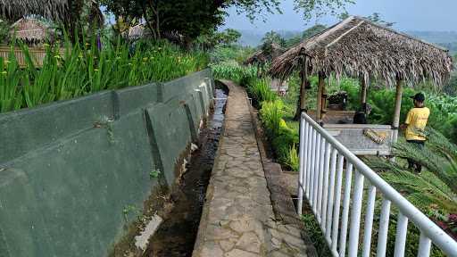 De Saung 8