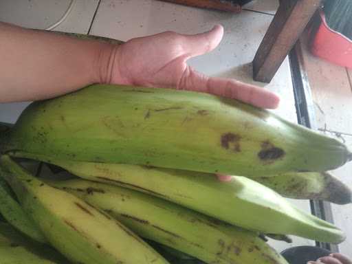 Pisang Keju Kress Pisang Tanduk 6