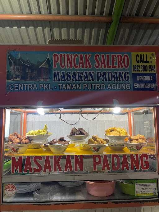 Nasi Padang Puncak Salero 3