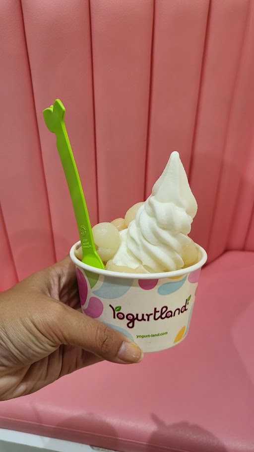 Yogurtland Cafe 10