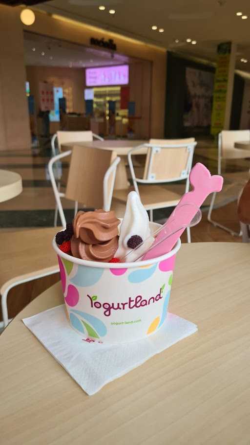 Yogurtland Cafe 7