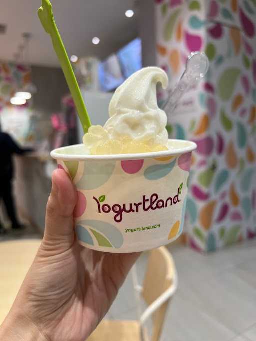 Yogurtland Cafe 4