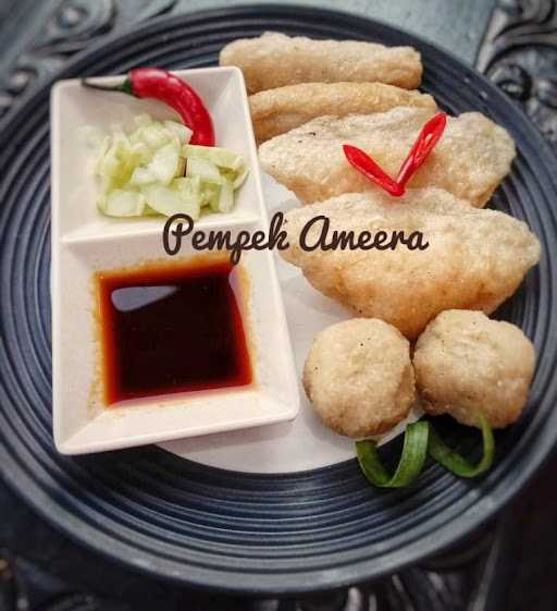 Pempek Ameera 10