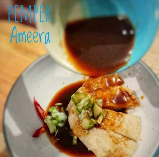 Pempek Ameera 4