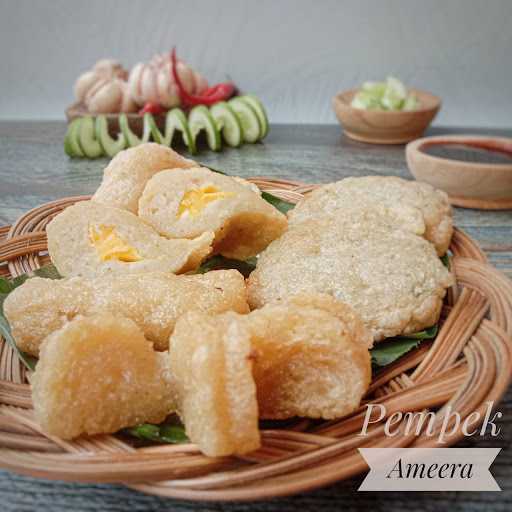 Pempek Ameera 3