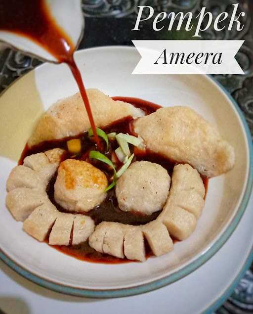 Pempek Ameera 9