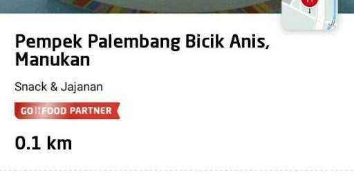 Pempek Palembang Bicik Anis 7