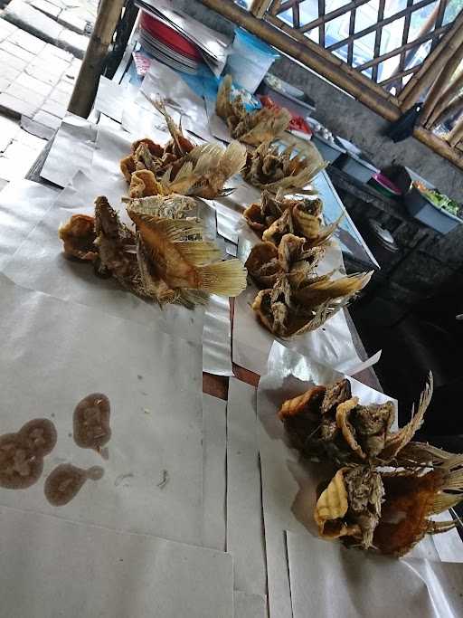 Seafood Hari Hari 9