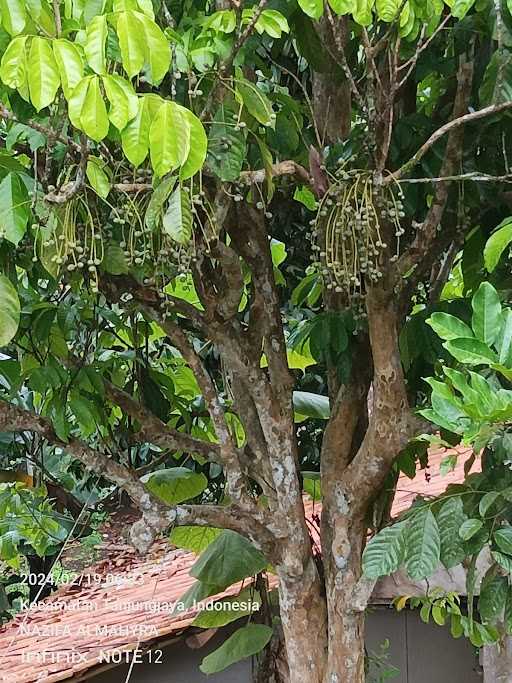 Rumah Aki Engkos 6