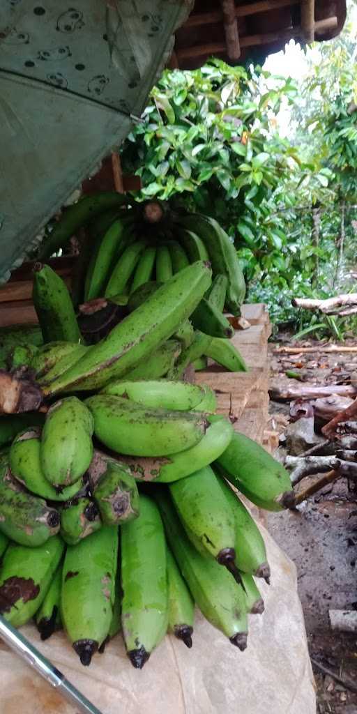 Mujen Banana Fruits 1