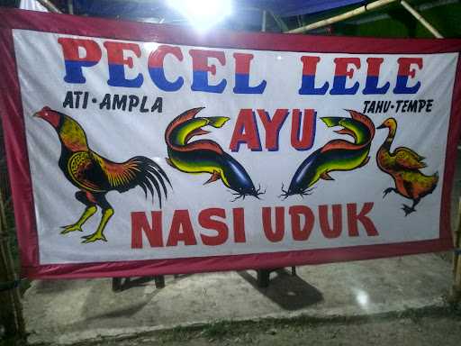 Pecel Lele Ayu 9