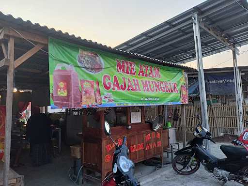 Mie Ayam Gajah Mungkur 02 Pak Cipto 10