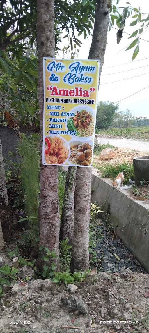 Warung Mie Ayam Dan Bakso Amelia 1