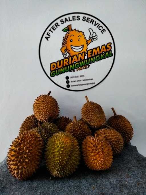 Durian Emas Pati 5