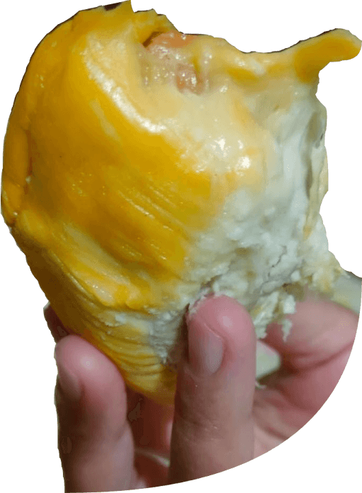 Durian Emas Pati 4