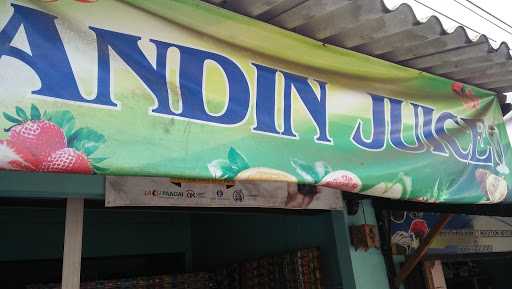 Andin Juice 4