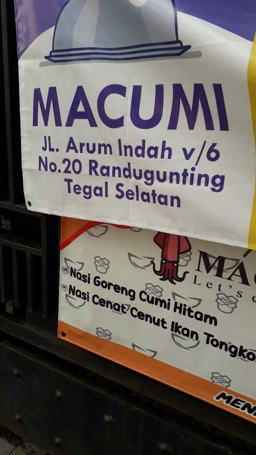 Macumi 4