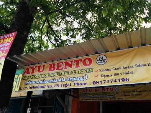 Ayu Bento 2